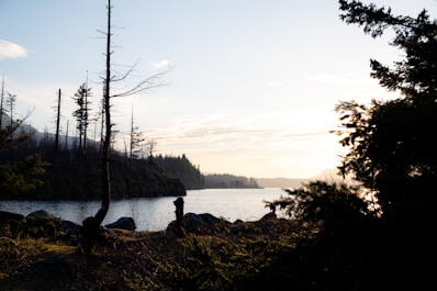 person sitting on rock near body of water during daytime