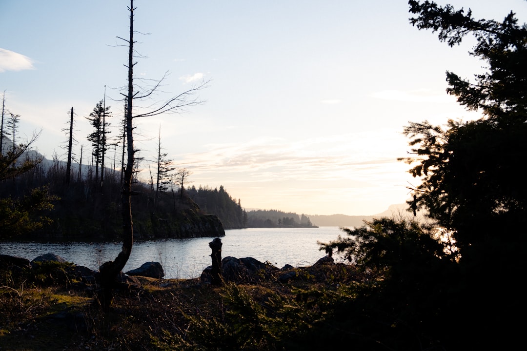 person sitting on rock near body of water during daytime