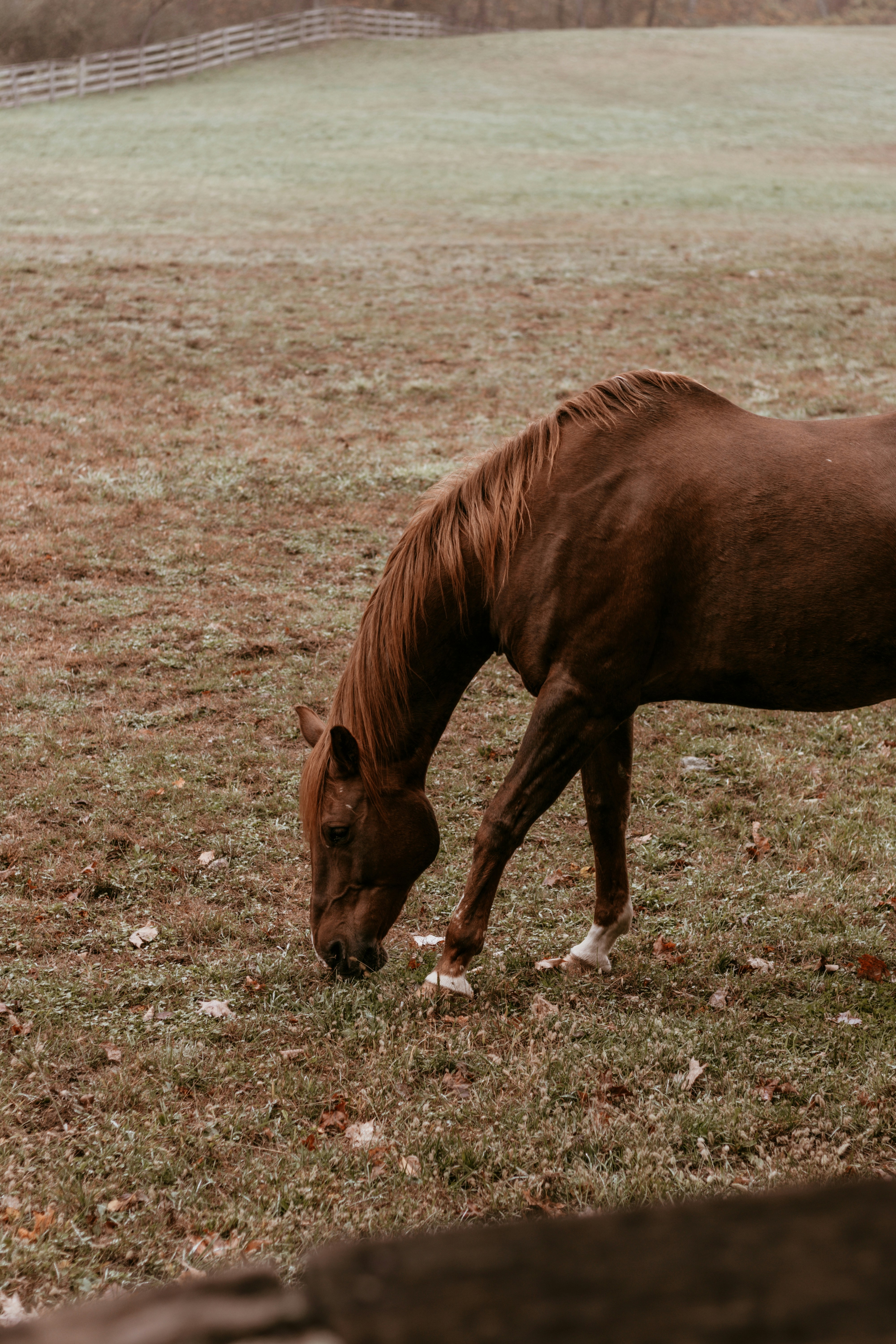 Photo by alexpatrickdesign