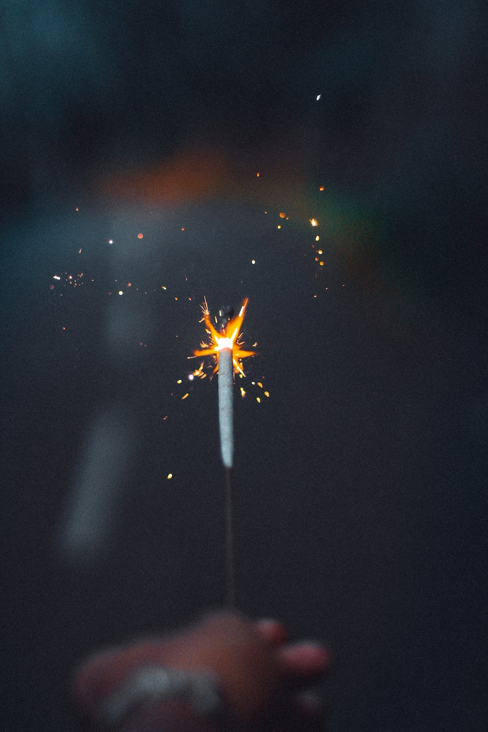 yellow and white spider on web during nighttime