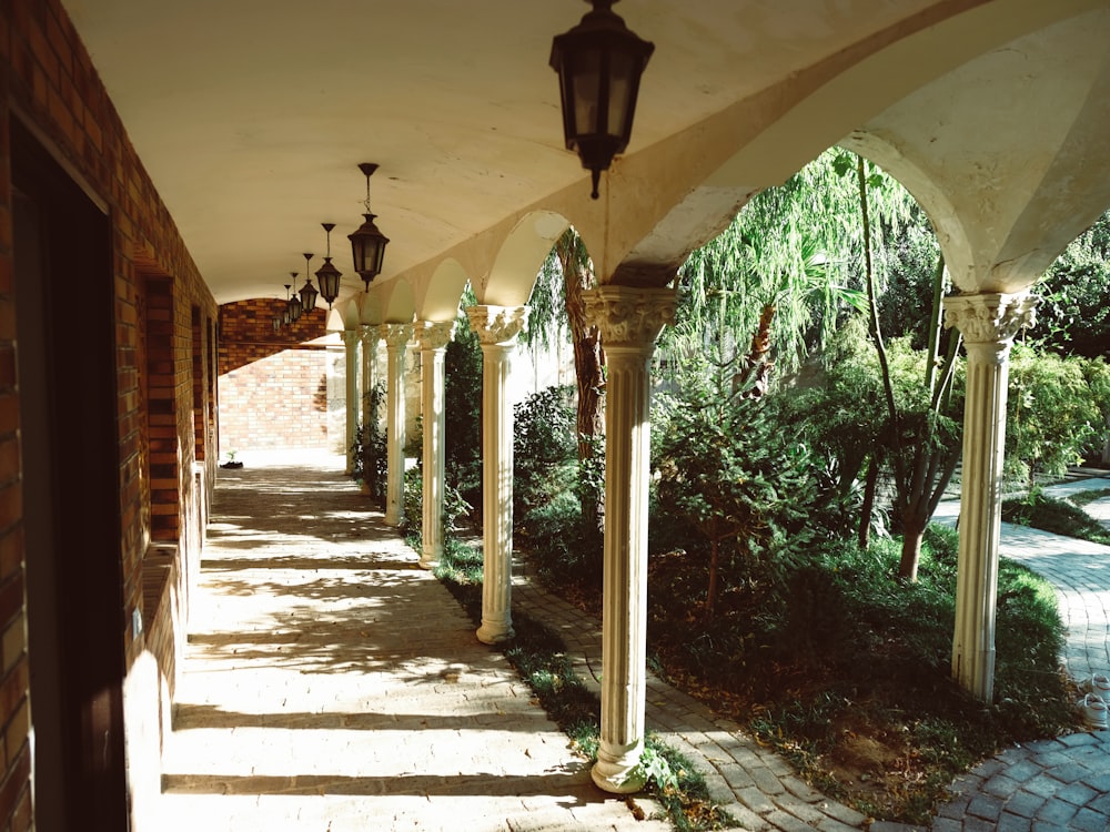 white concrete pathway between green trees during daytime