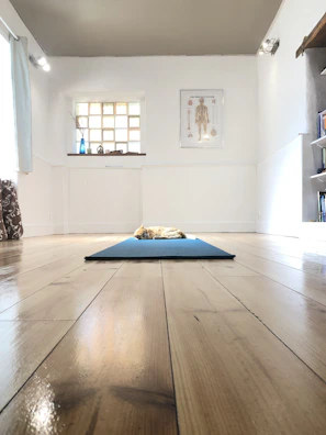 A serene animal therapy room with natural light and cozy equipment