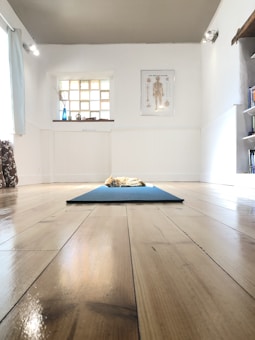 A cozy room with wooden flooring features a fluffy cat resting on a blue mat. The walls are mostly white with a poster depicting the human body anatomy, a window with glass blocks on one side, and shelves with books. Natural light filters through the window, creating a serene atmosphere.