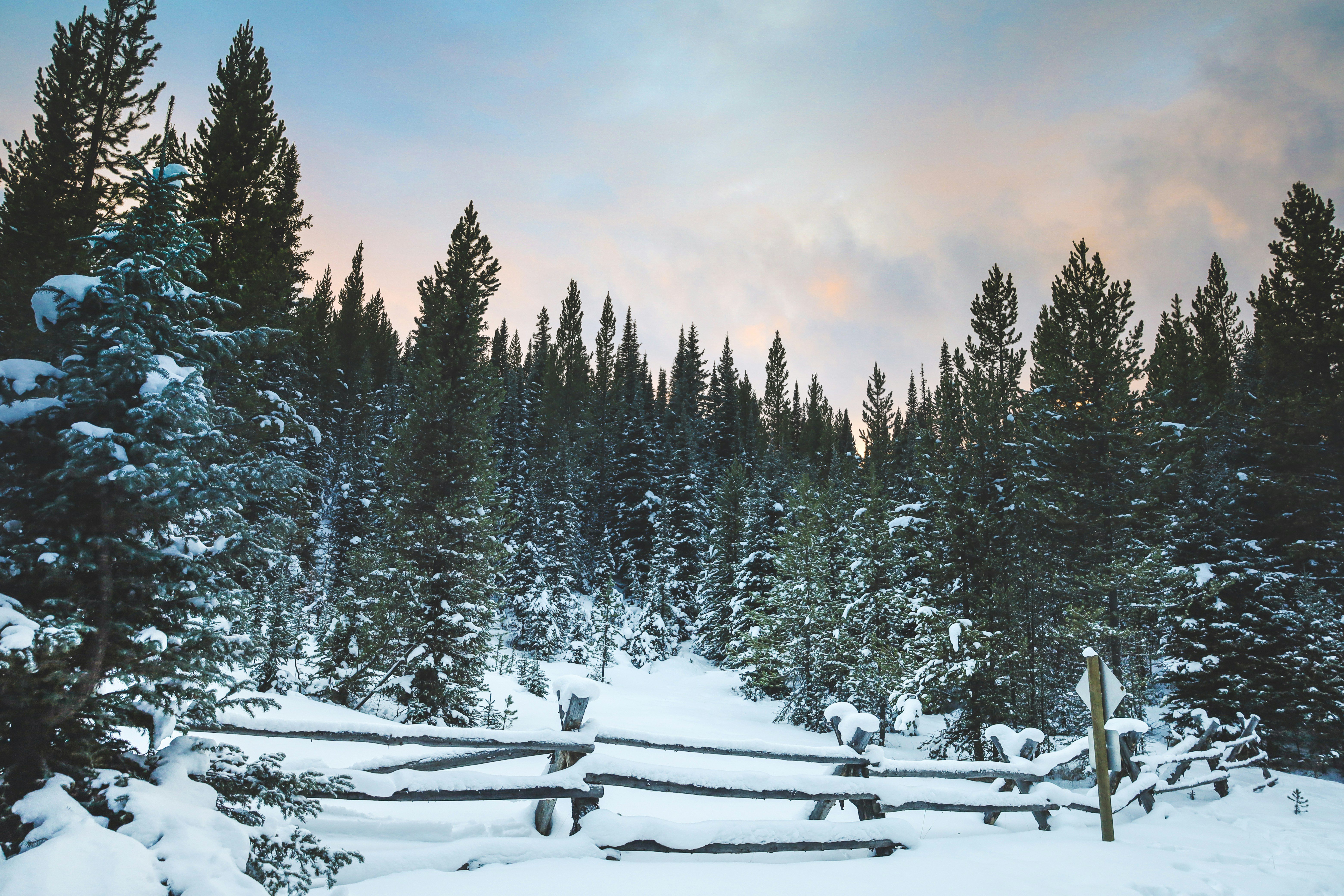 Photo by westcooper21