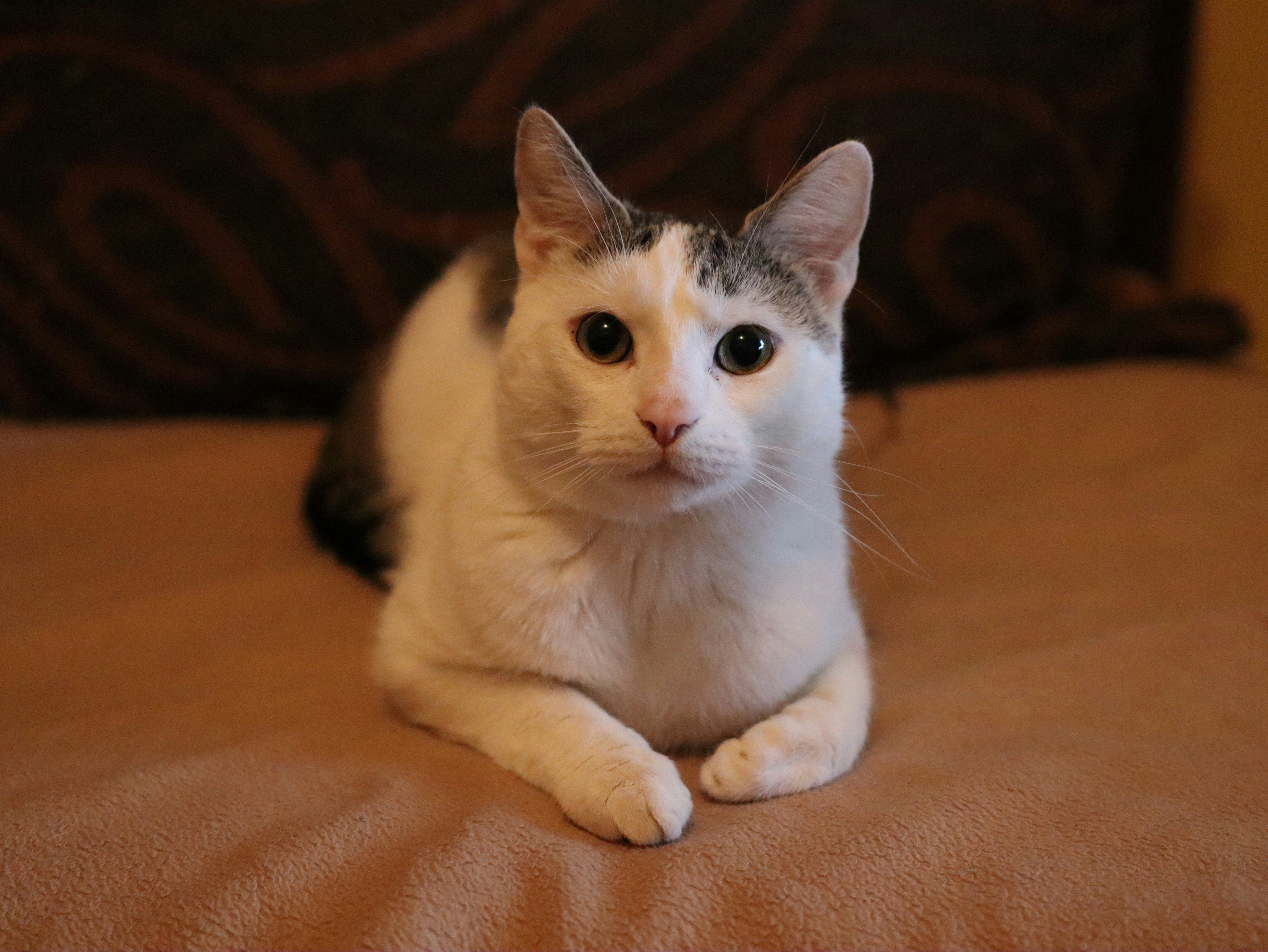 Photo by gabriellenca