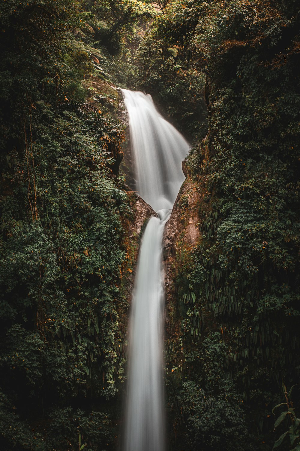 waterfalls in the middle of the forest