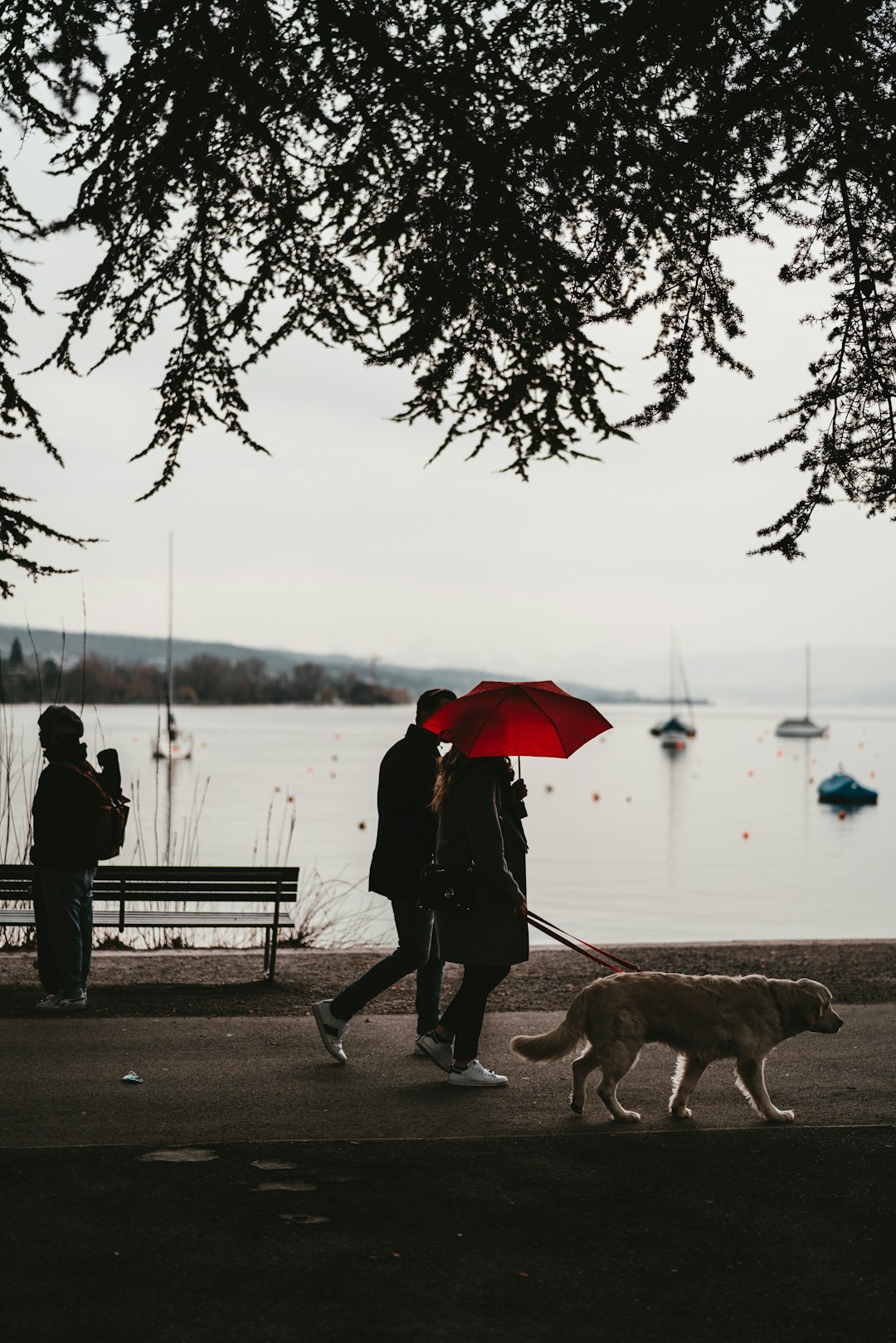 man and woman holding umbrella walking on sidewalk during daytime