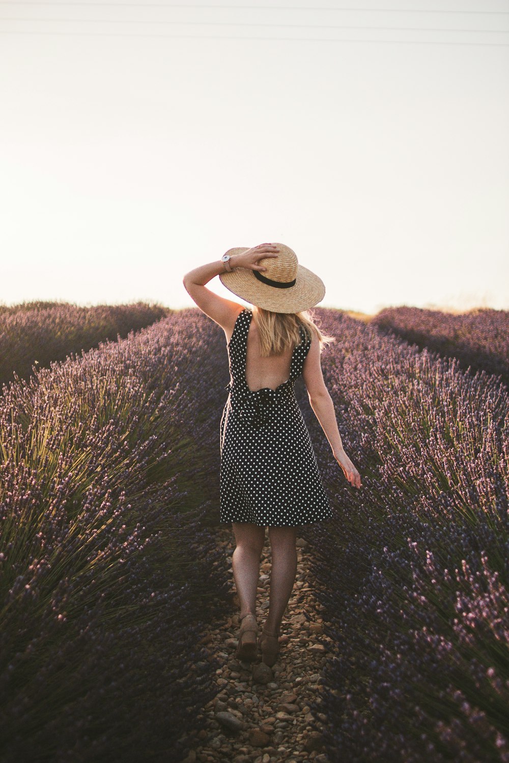 donna in abito a pois bianco e nero in piedi sul campo di fiori viola durante il giorno