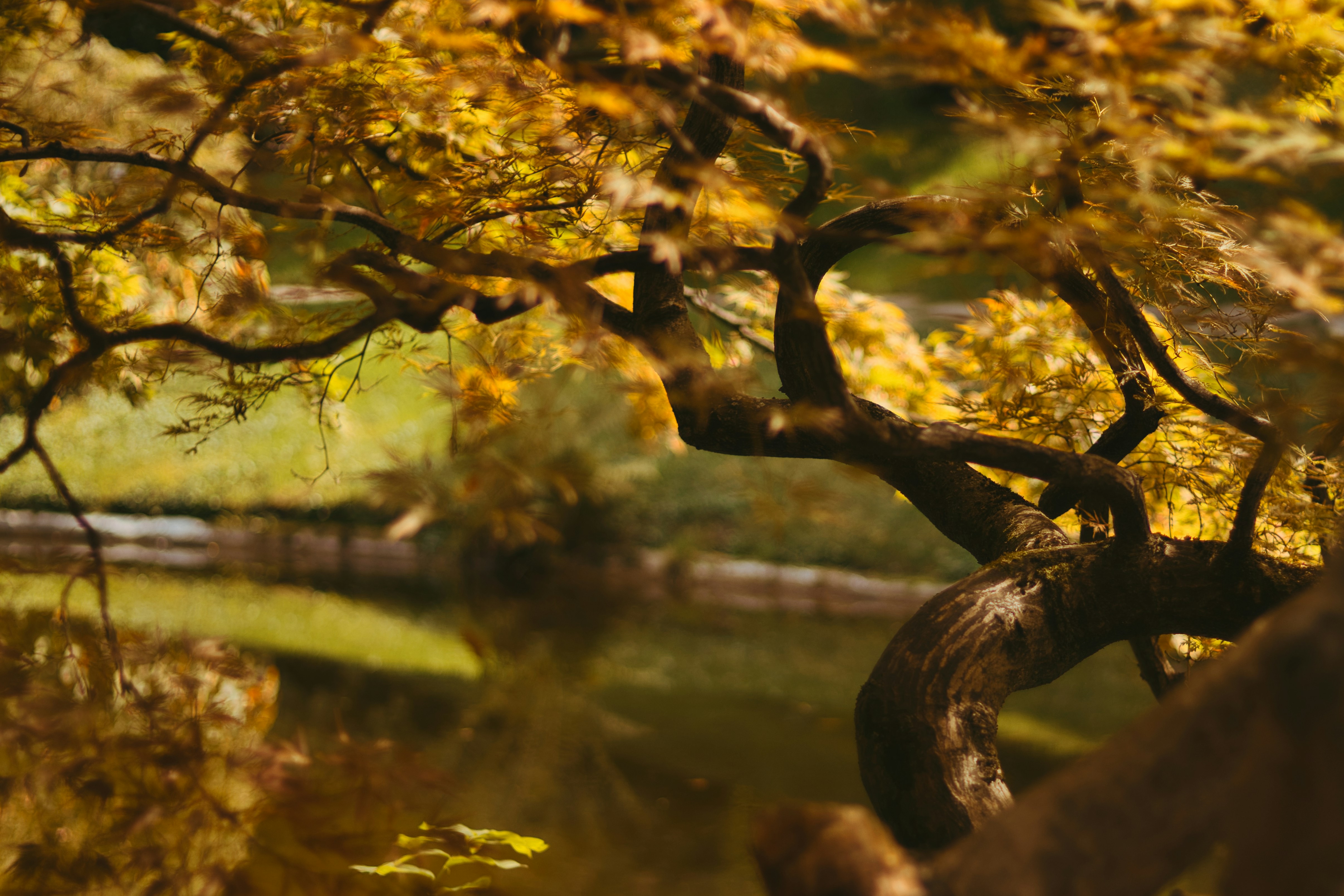 Photo by shottrotter