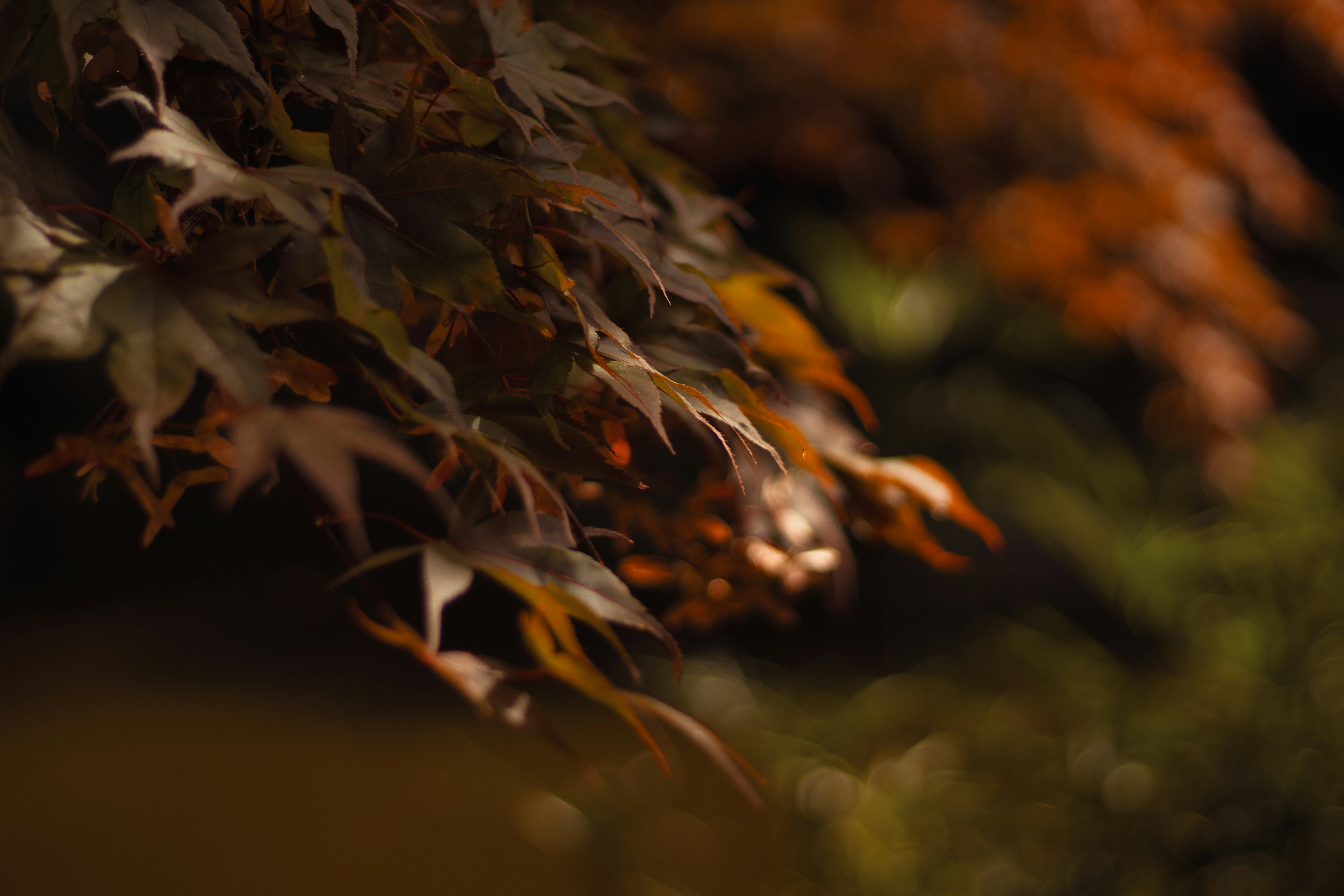 Photo by shottrotter