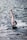 A windsurfer skillfully navigates the choppy waters, balancing on a board with a red and white sail. The sunlight reflects off the waves, creating a shimmering effect on the surface of the sea.