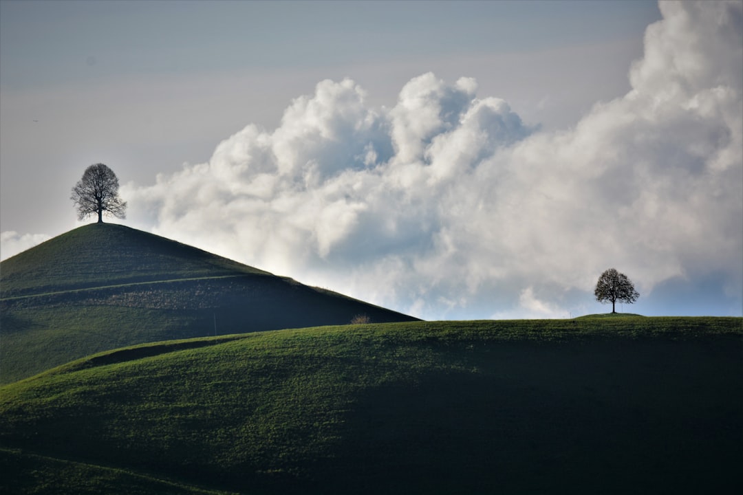 green grass field under white clouds