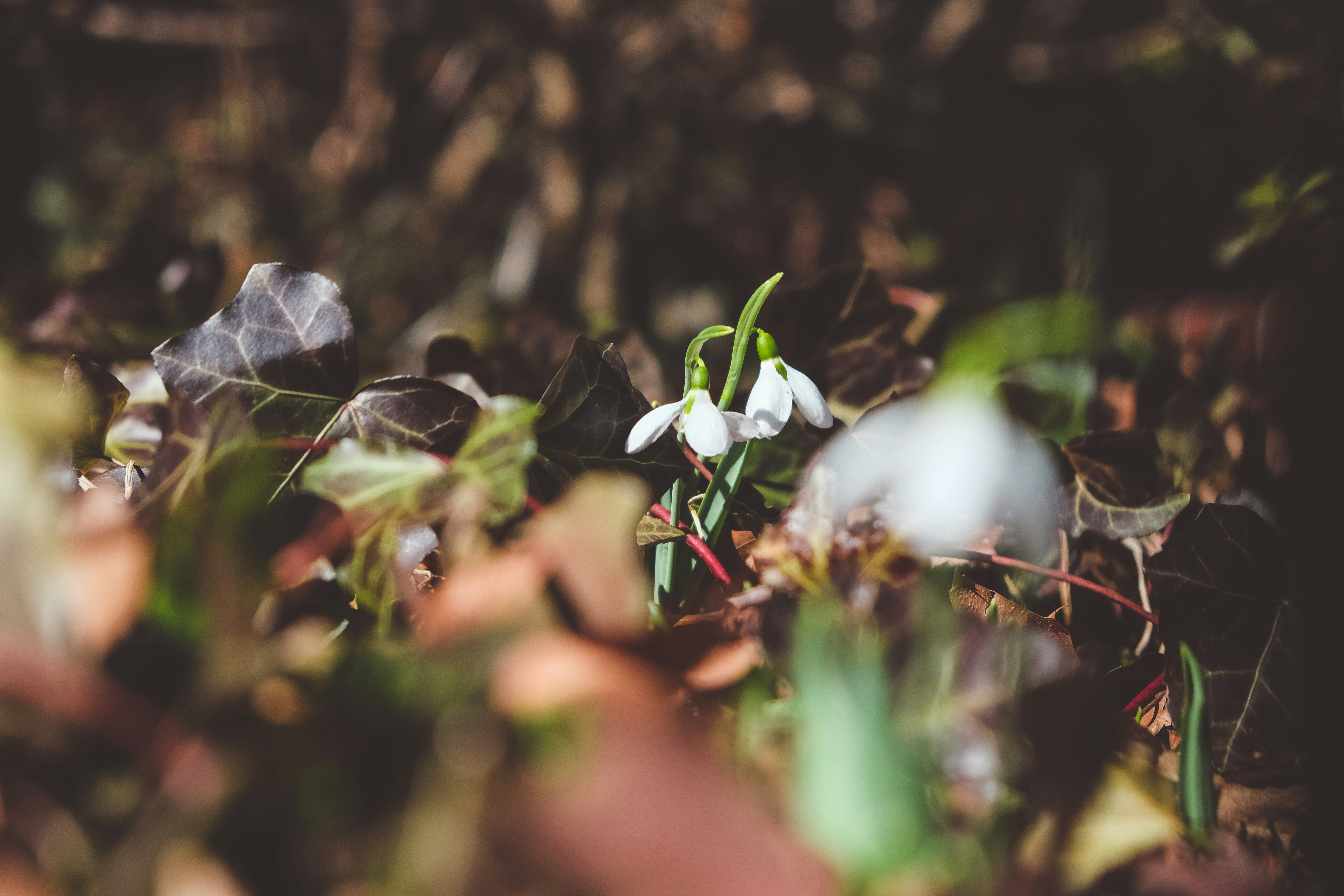 Photo by create4eyes