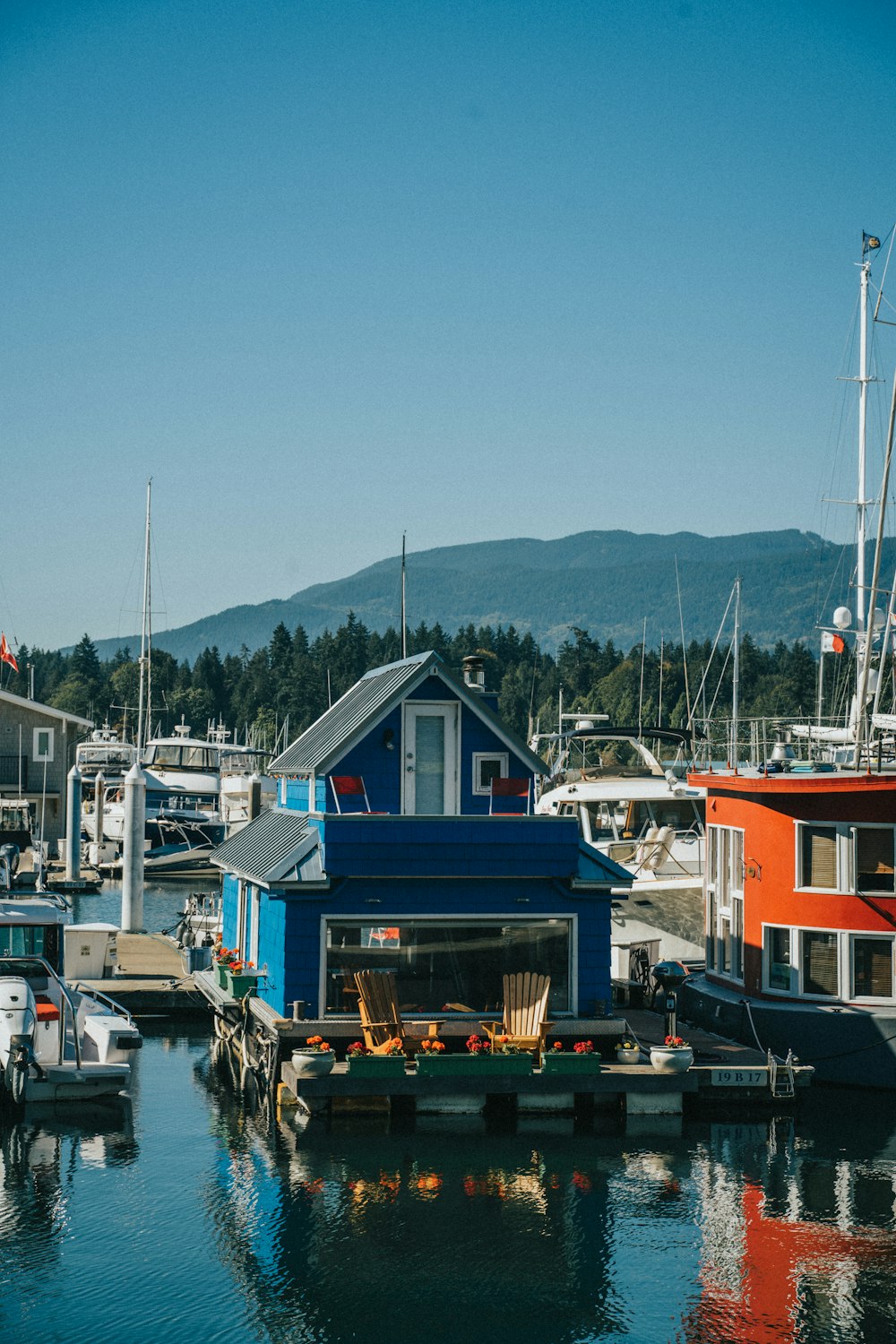 blue red and white houses beside body of water during daytime