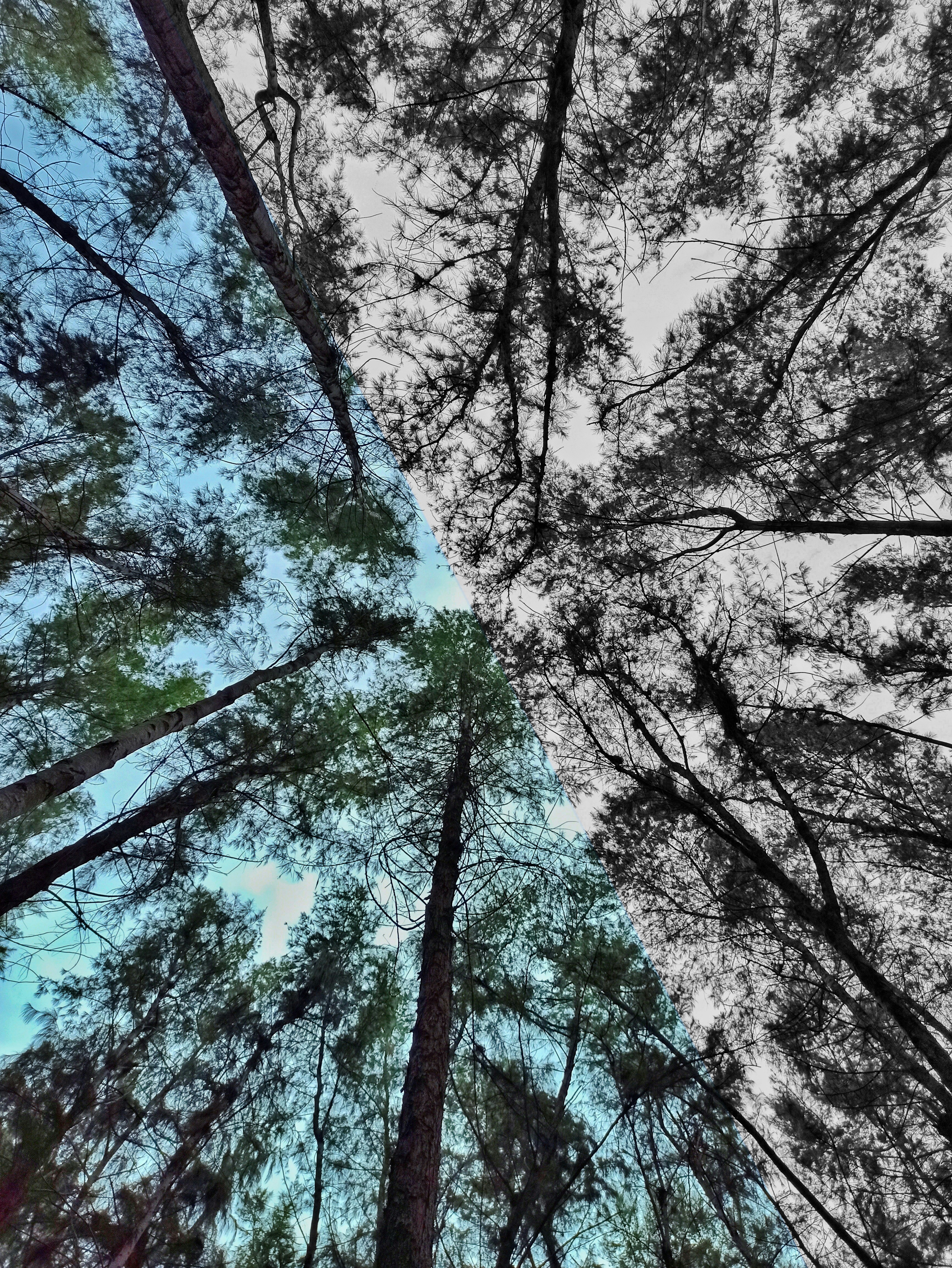 Photo by rukshan_scott