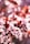 pink and white flowers in tilt shift lens
