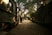 brown brick pathway between green trees during daytime