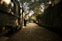 brown brick pathway between green trees during daytime