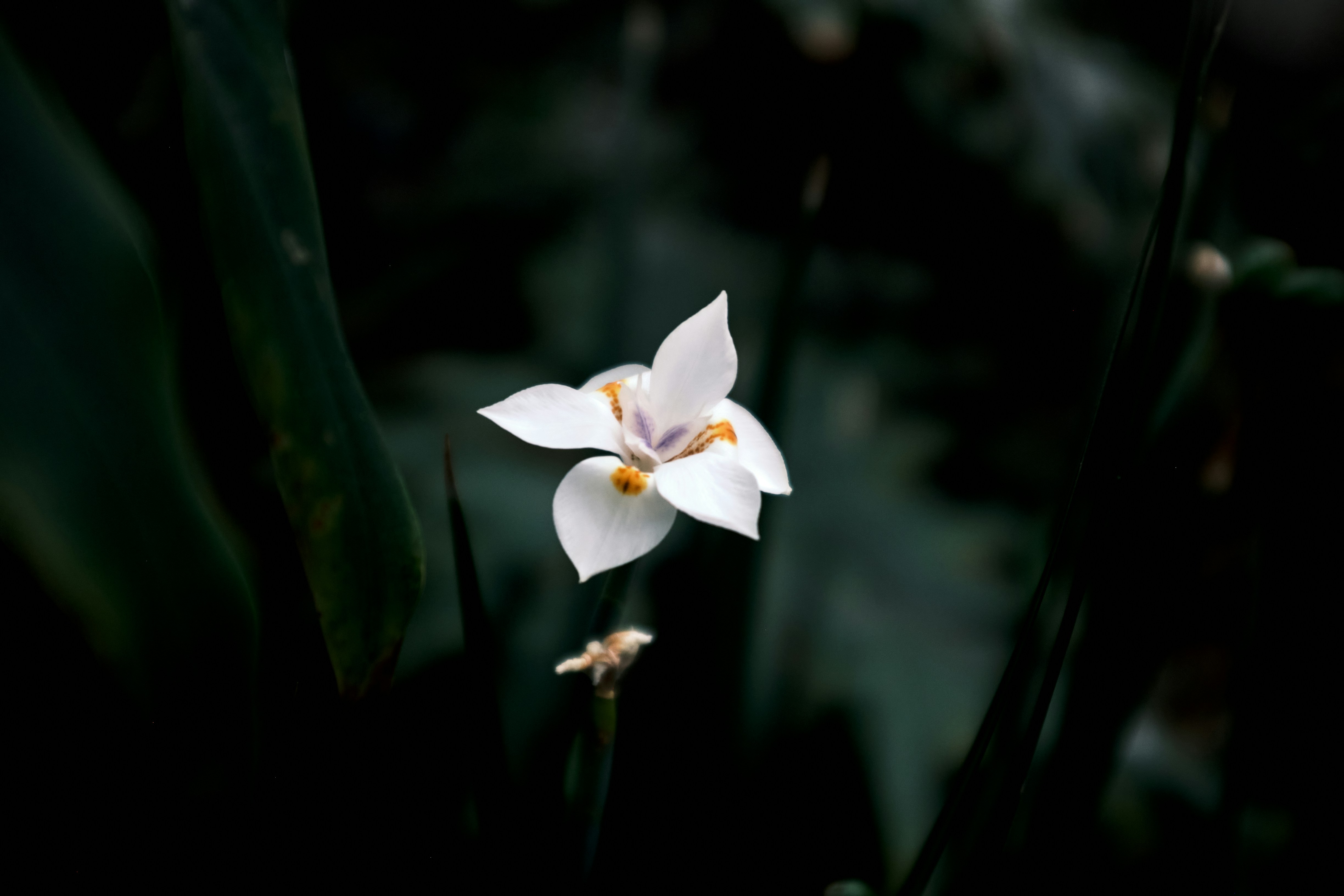 Photo by nielslyhne_kohan