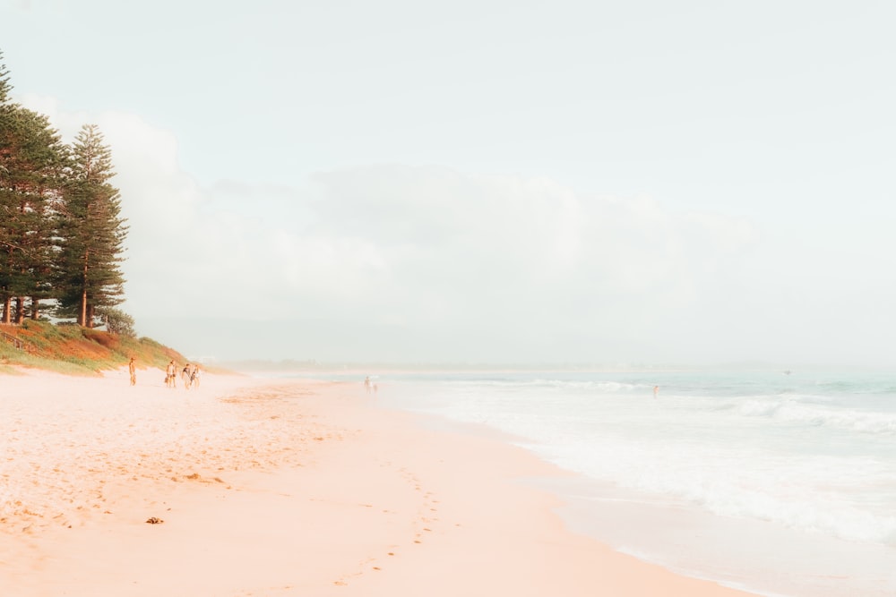 brown sand beach during daytime