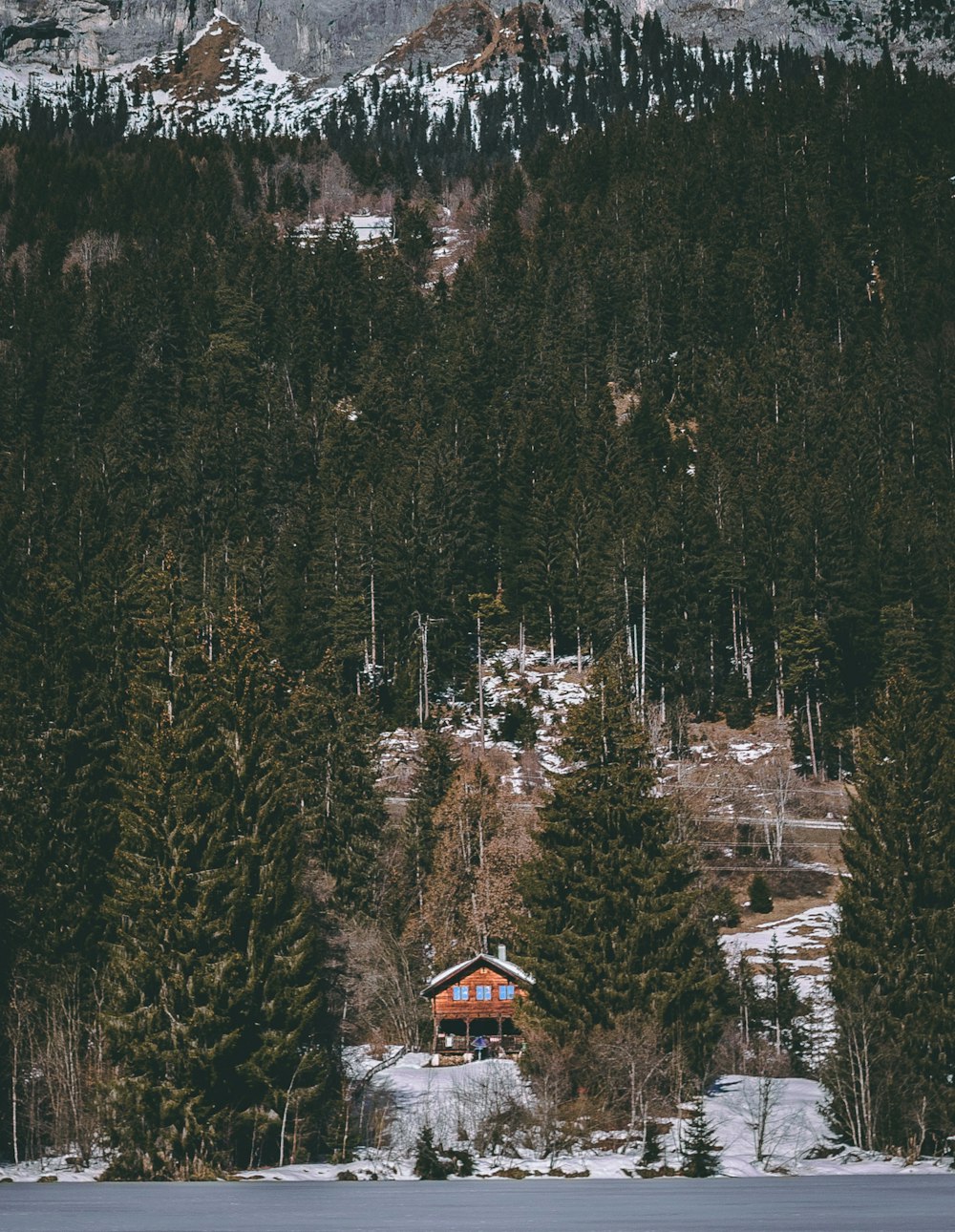 brown and white house surrounded by trees during daytime