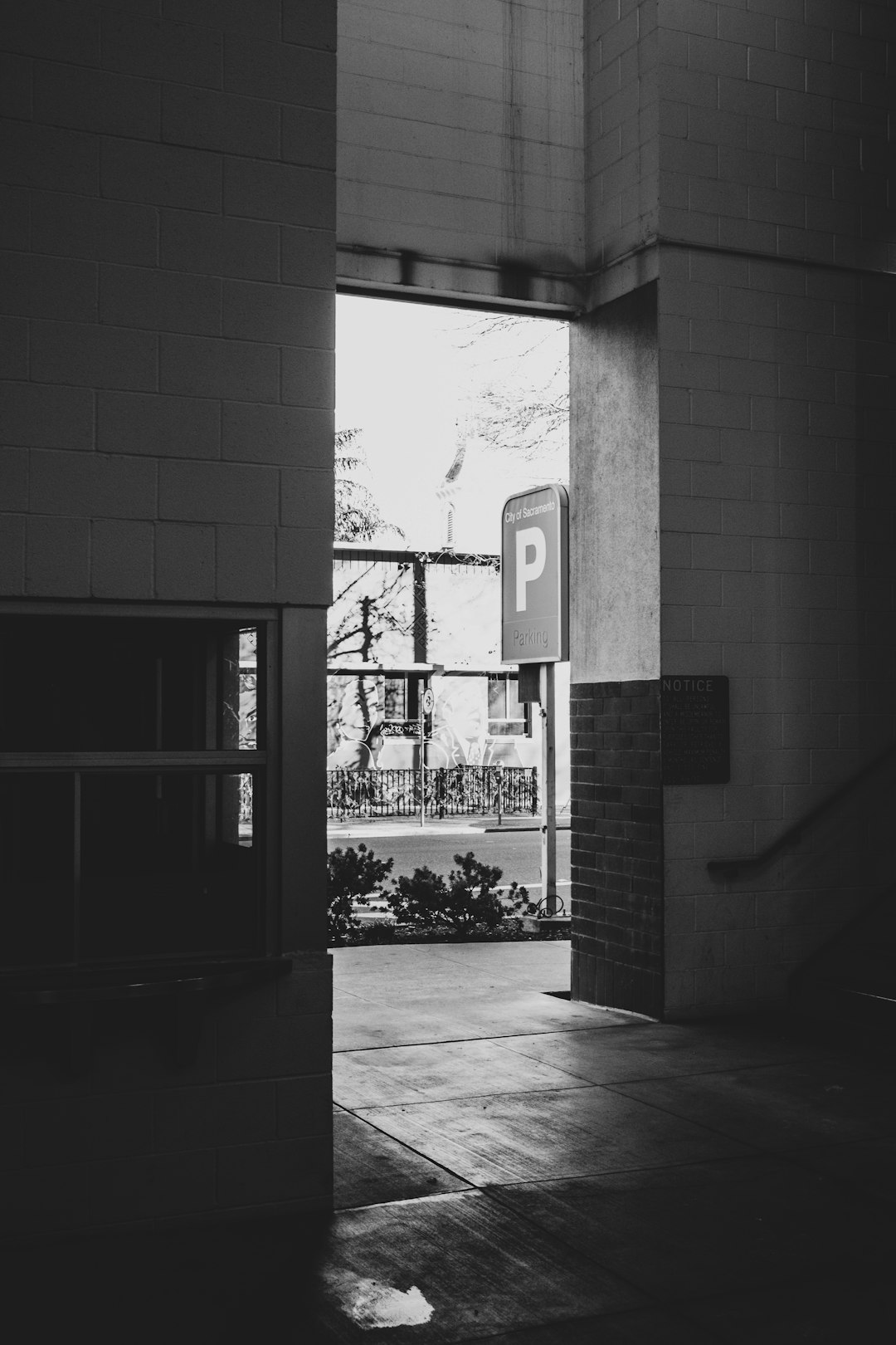 grayscale photo of building with glass window