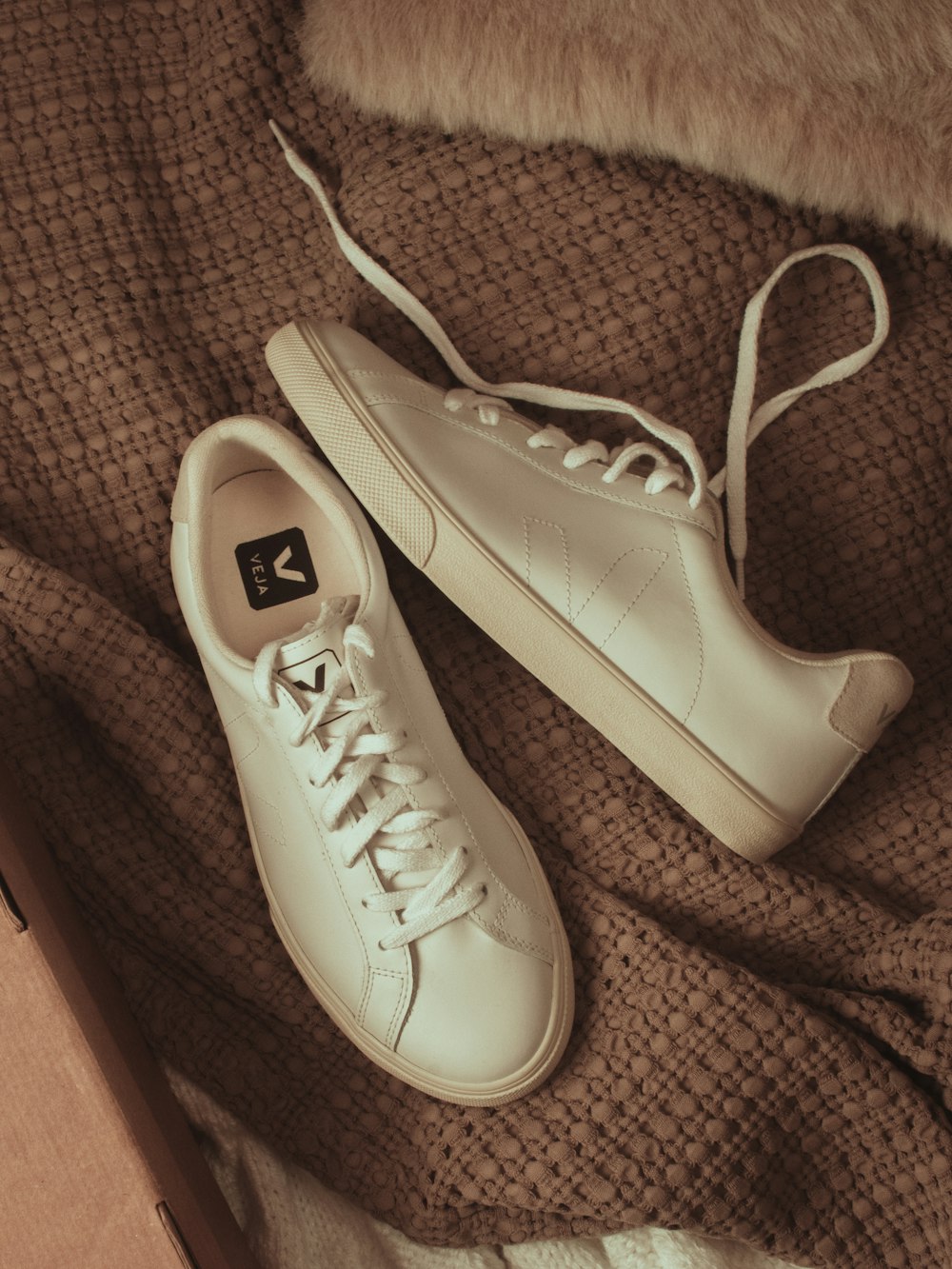 Foto zapatillas bajas blancas converse all star – Imagen Marrón gratis en  Unsplash