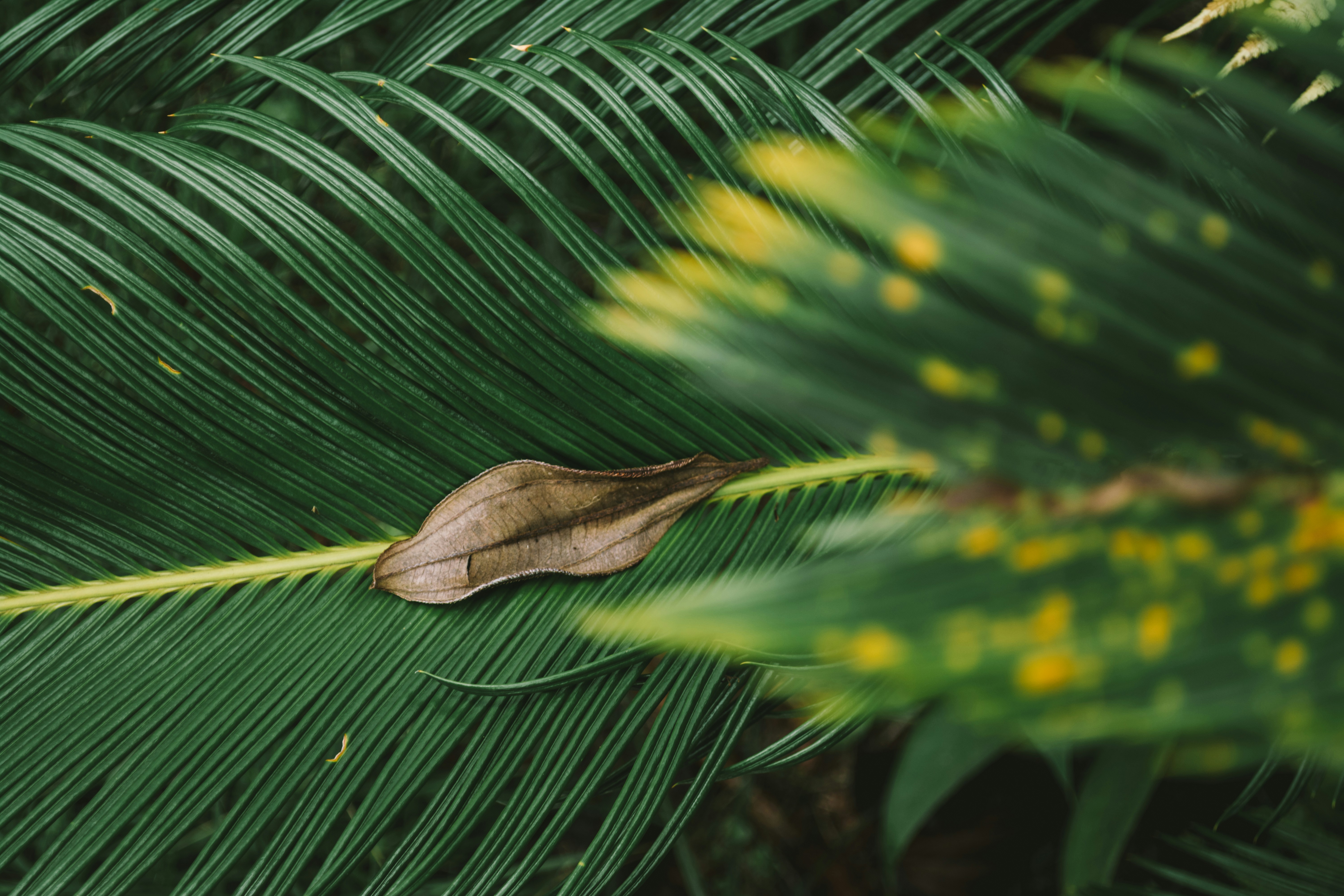 Photo by dantecandal