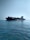 A large cargo ship carrying numerous containers is moving across a calm ocean. The ship is accompanied by a small yellow pilot boat near its side. The sky is clear, adding to the tranquility of the scene.