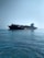 A large cargo ship carrying numerous containers is moving across a calm ocean. The ship is accompanied by a small yellow pilot boat near its side. The sky is clear, adding to the tranquility of the scene.
