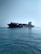 A large cargo ship carrying numerous containers is moving across a calm ocean. The ship is accompanied by a small yellow pilot boat near its side. The sky is clear, adding to the tranquility of the scene.