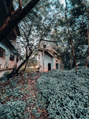 A misty abandoned building surrounded by overgrown vegetation in South Bohemia.