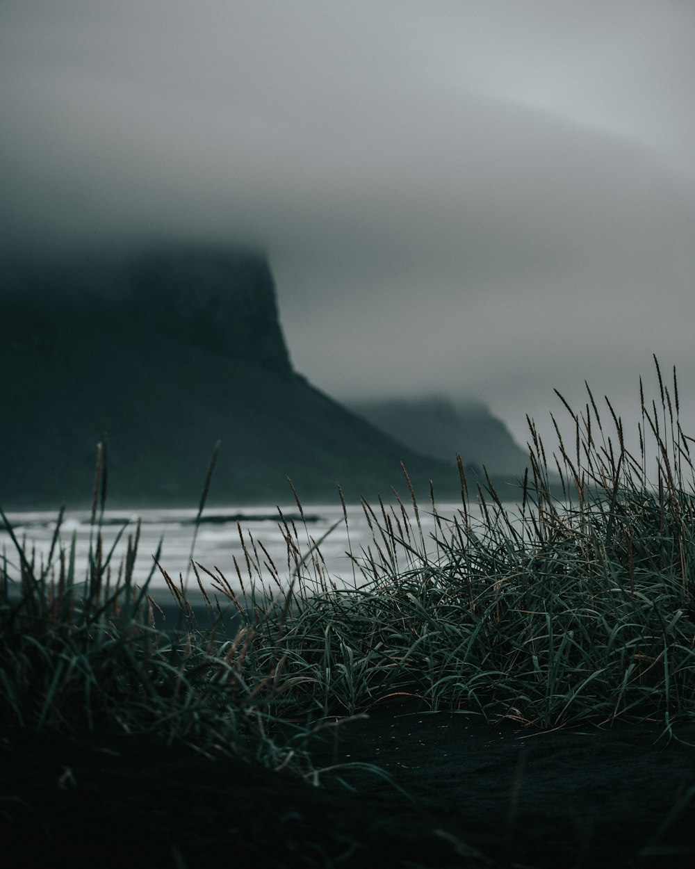 green grass on mountain near body of water