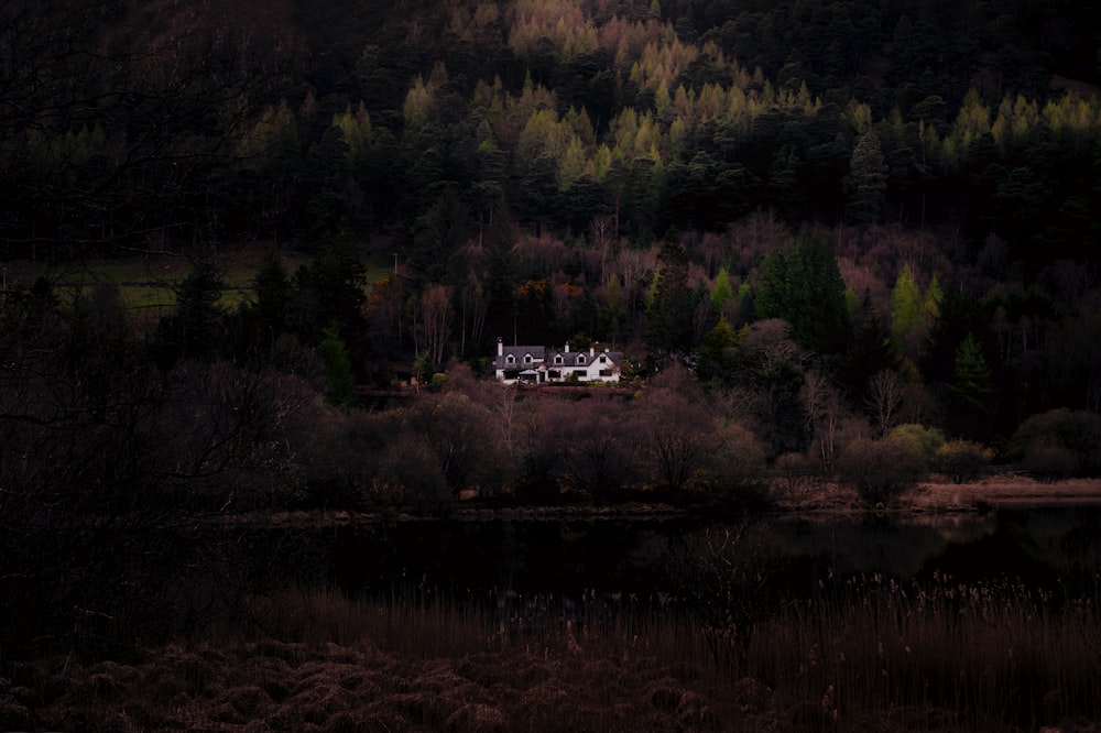 white and black house surrounded by green trees during daytime