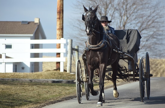 A person wearing traditional attire is driving a horse-drawn carriage along a road beside a white fence. The background shows a rural setting with a house and barren trees, suggesting a countryside area.
