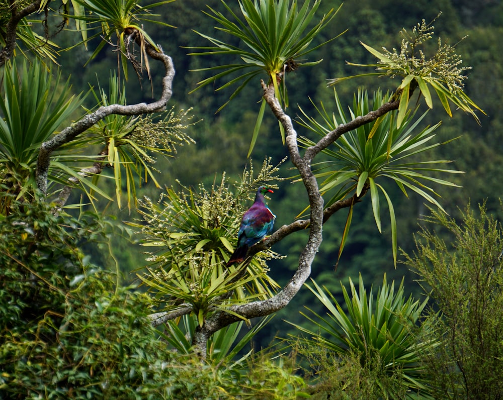 木の枝の上にとまる色とりどりの鳥
