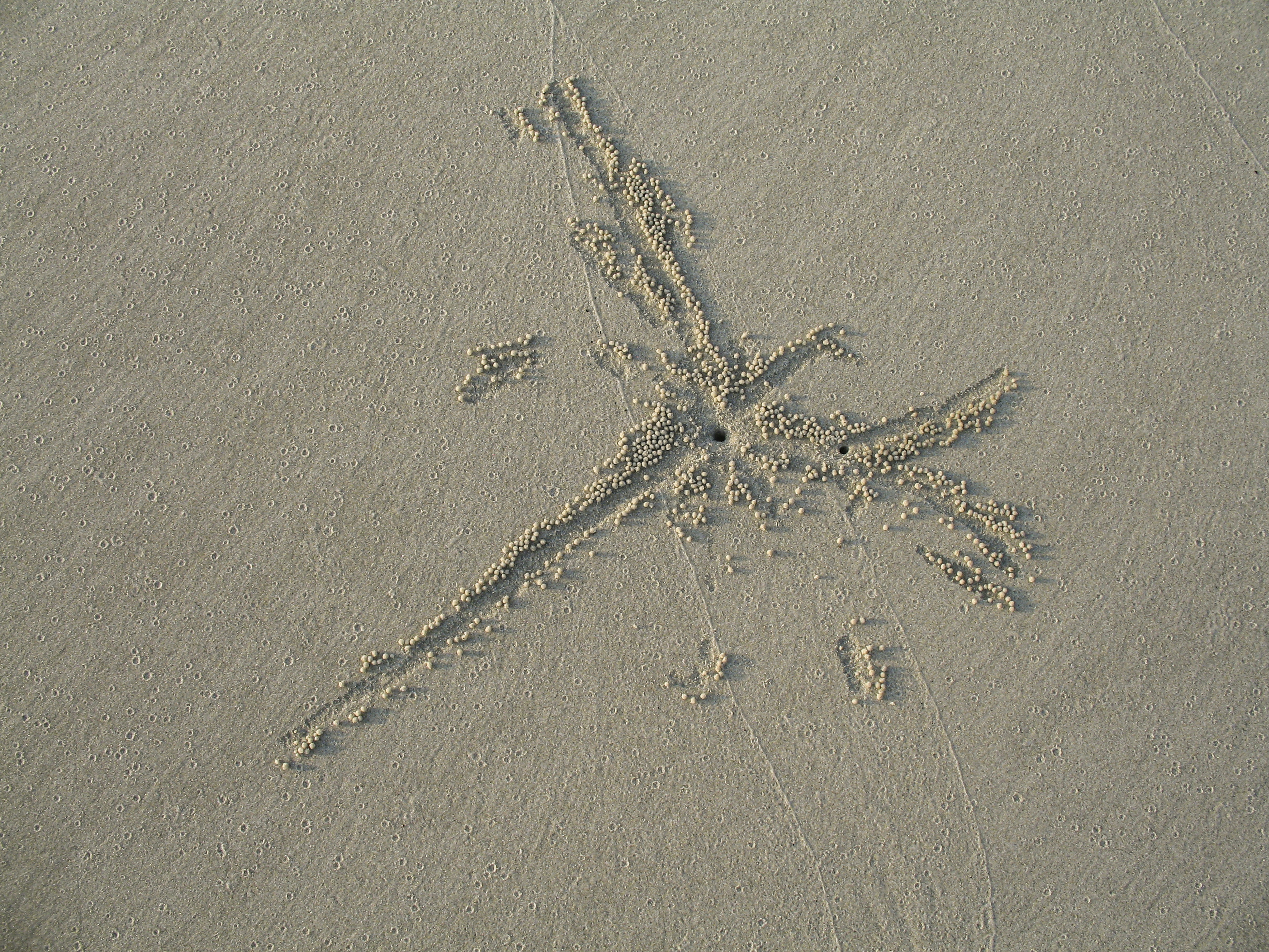 Photo by rocinante_11