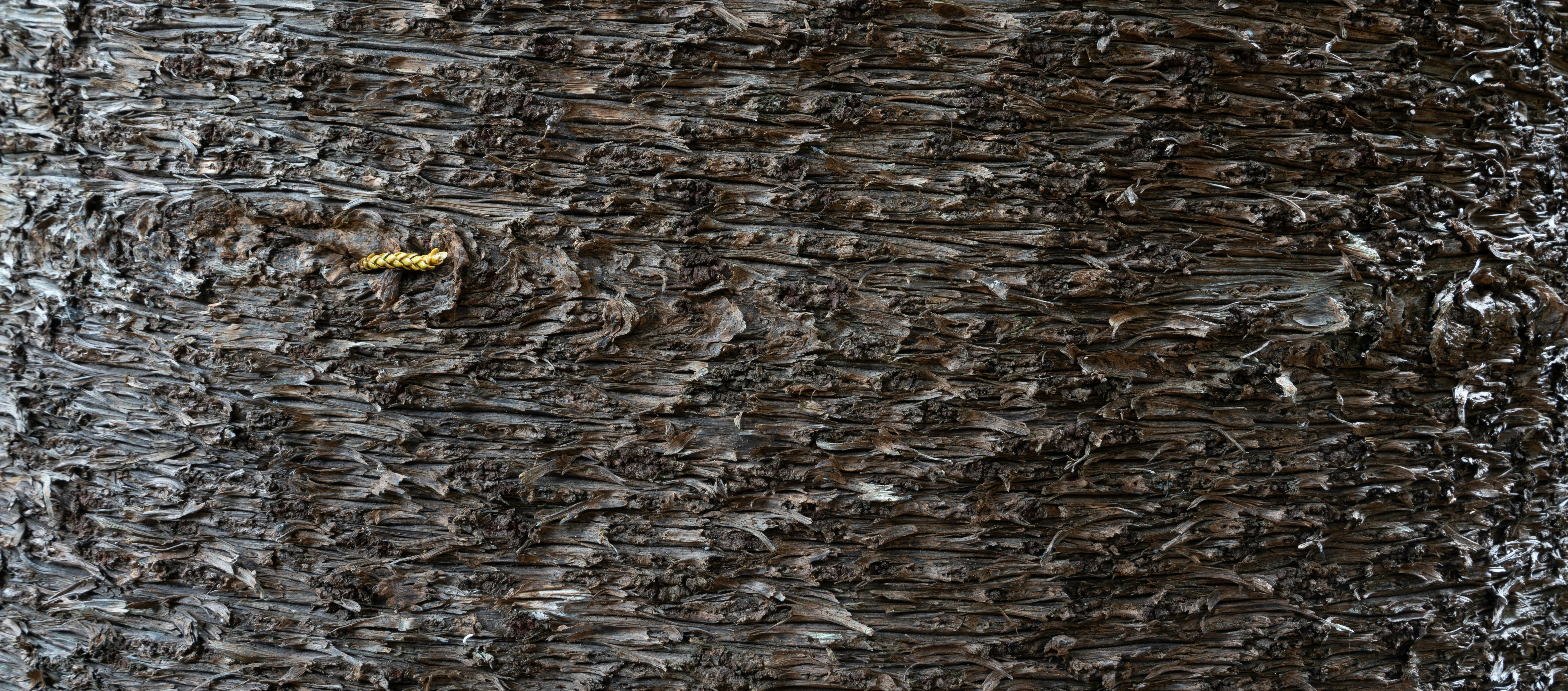 Photo by pjfitzpatrick