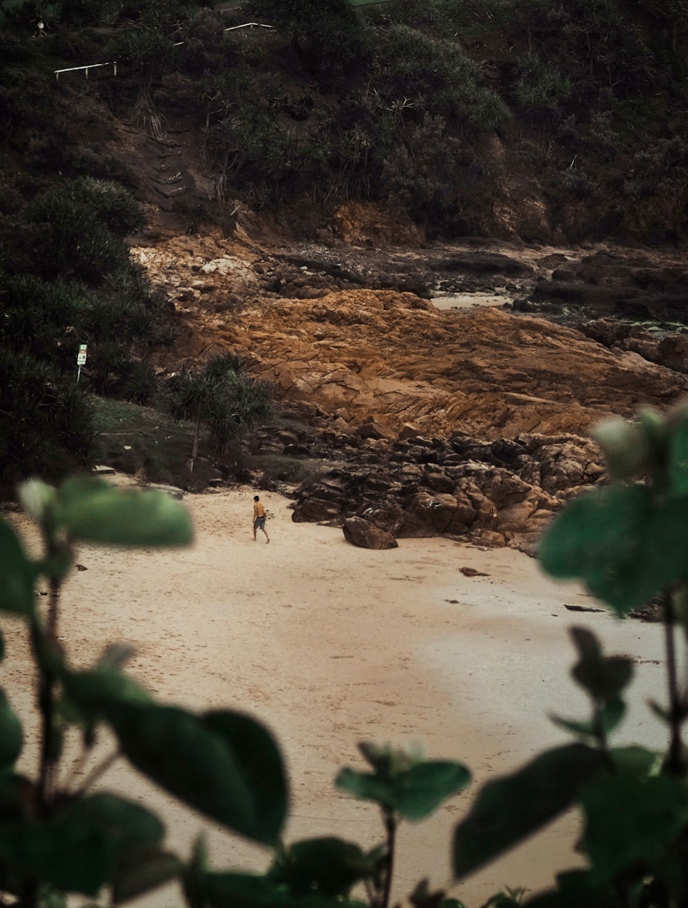 people on beach during daytime