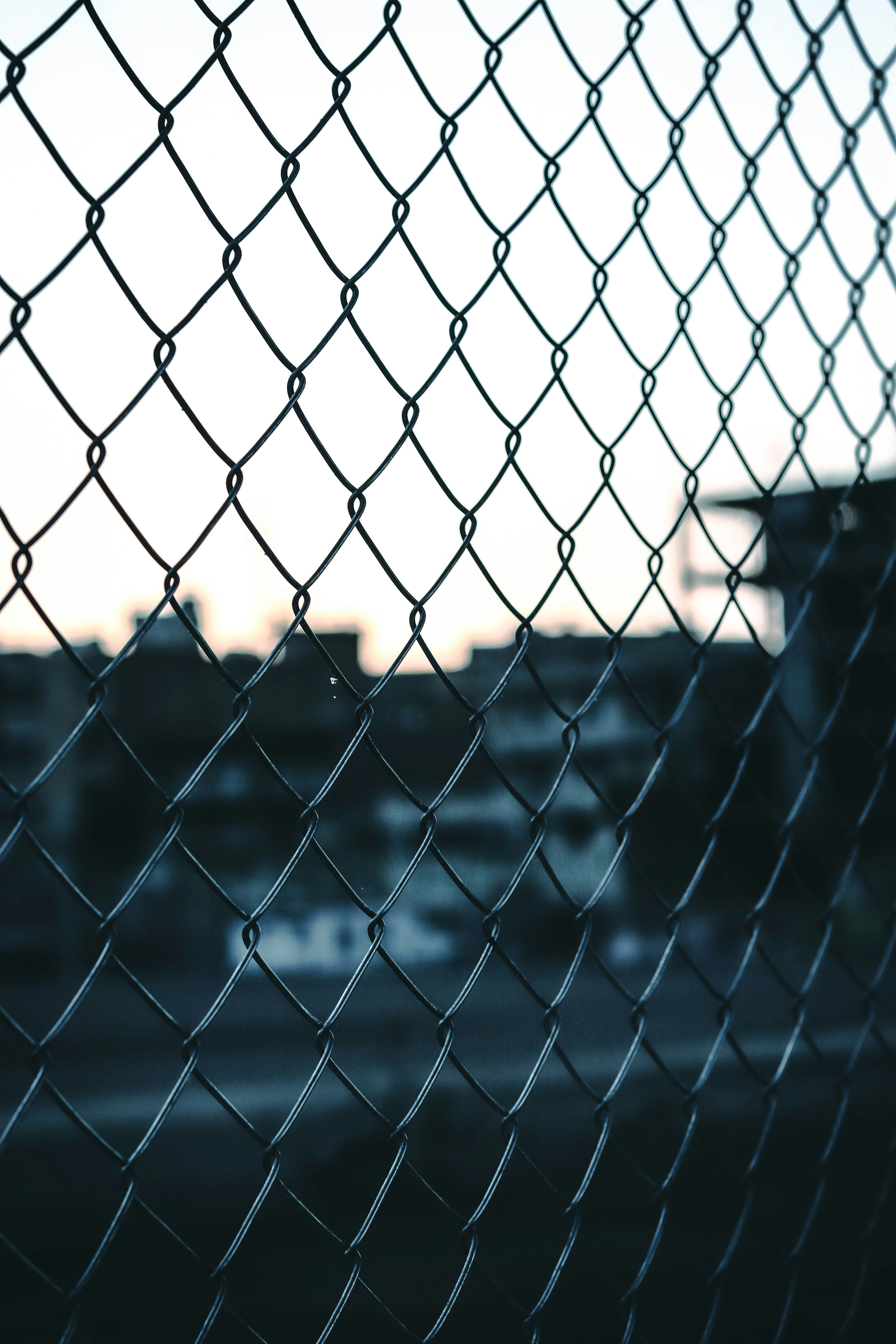 Photo by mohammadkamangar