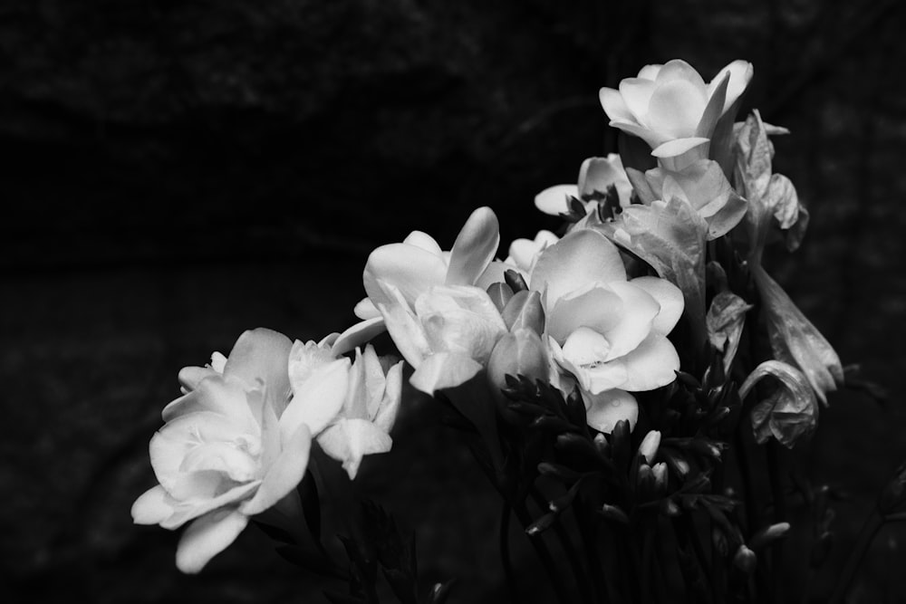 white flowers in grayscale photography