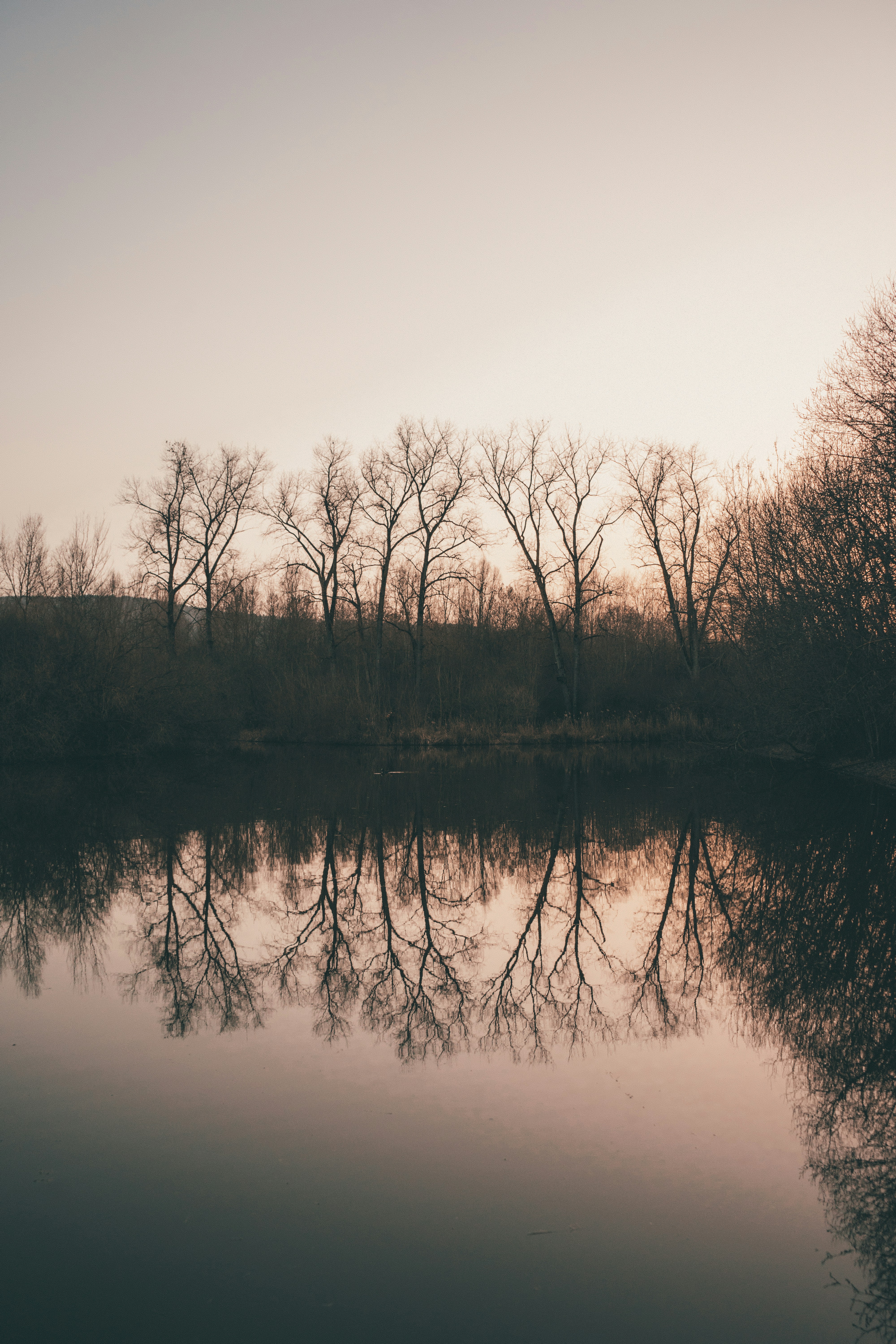 Photo by virussinside