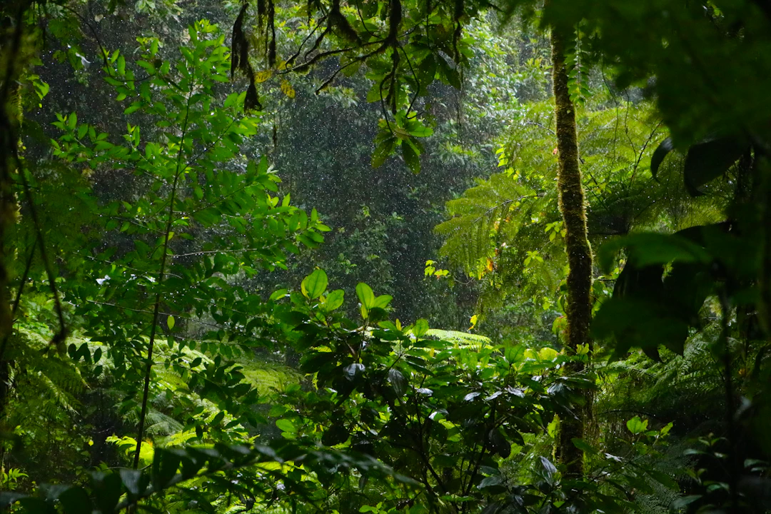 20-Day Costa Rica Family Travel Itinerary & Epic Journey