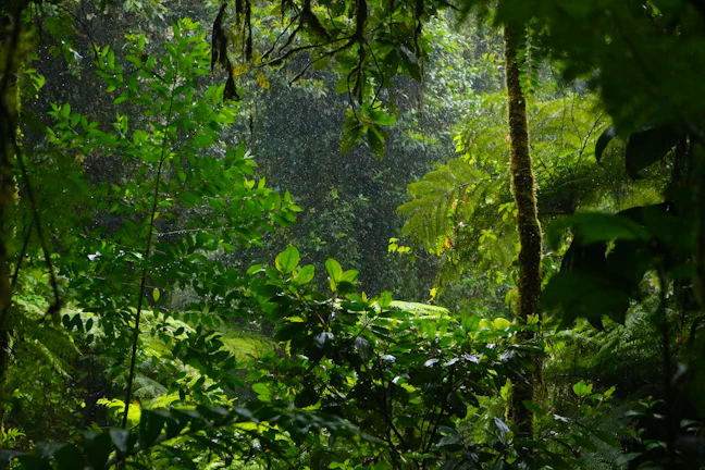 20-Day Costa Rica Family Travel Itinerary & Epic Journey