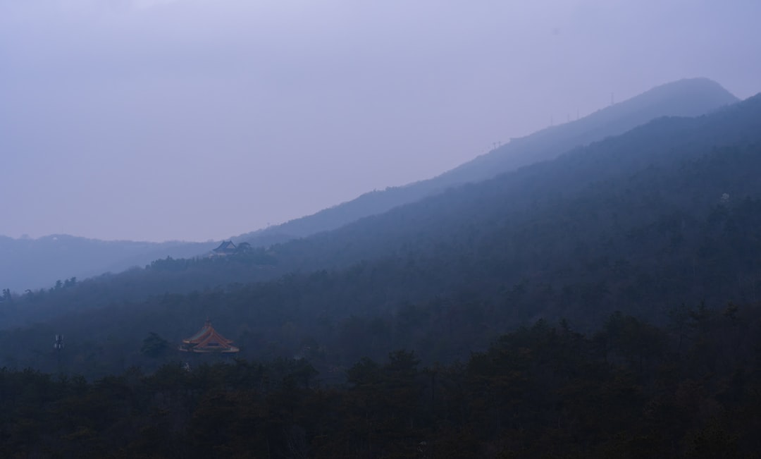 green trees on mountain during daytime