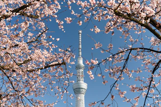 Tokyo Skytree under a clear blue sky with distant views toward the Mount Fuji region