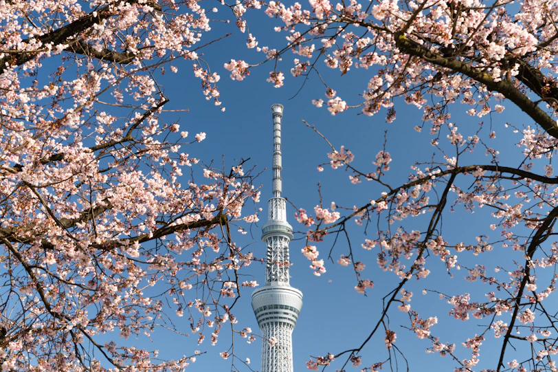 Tokyo Skytree under a clear blue sky with distant views toward the Mount Fuji region