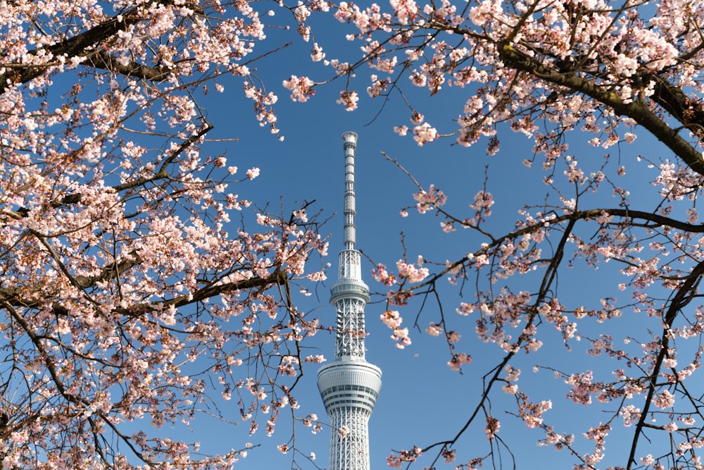 昼間の青空の下に白と灰色のコンクリートの塔