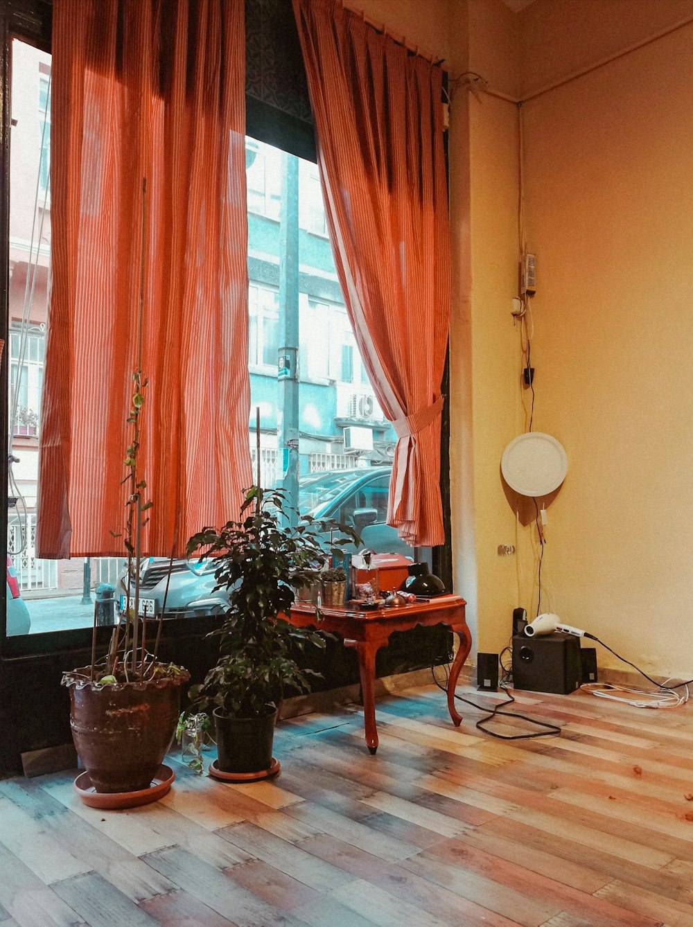 potted green plant on brown wooden table