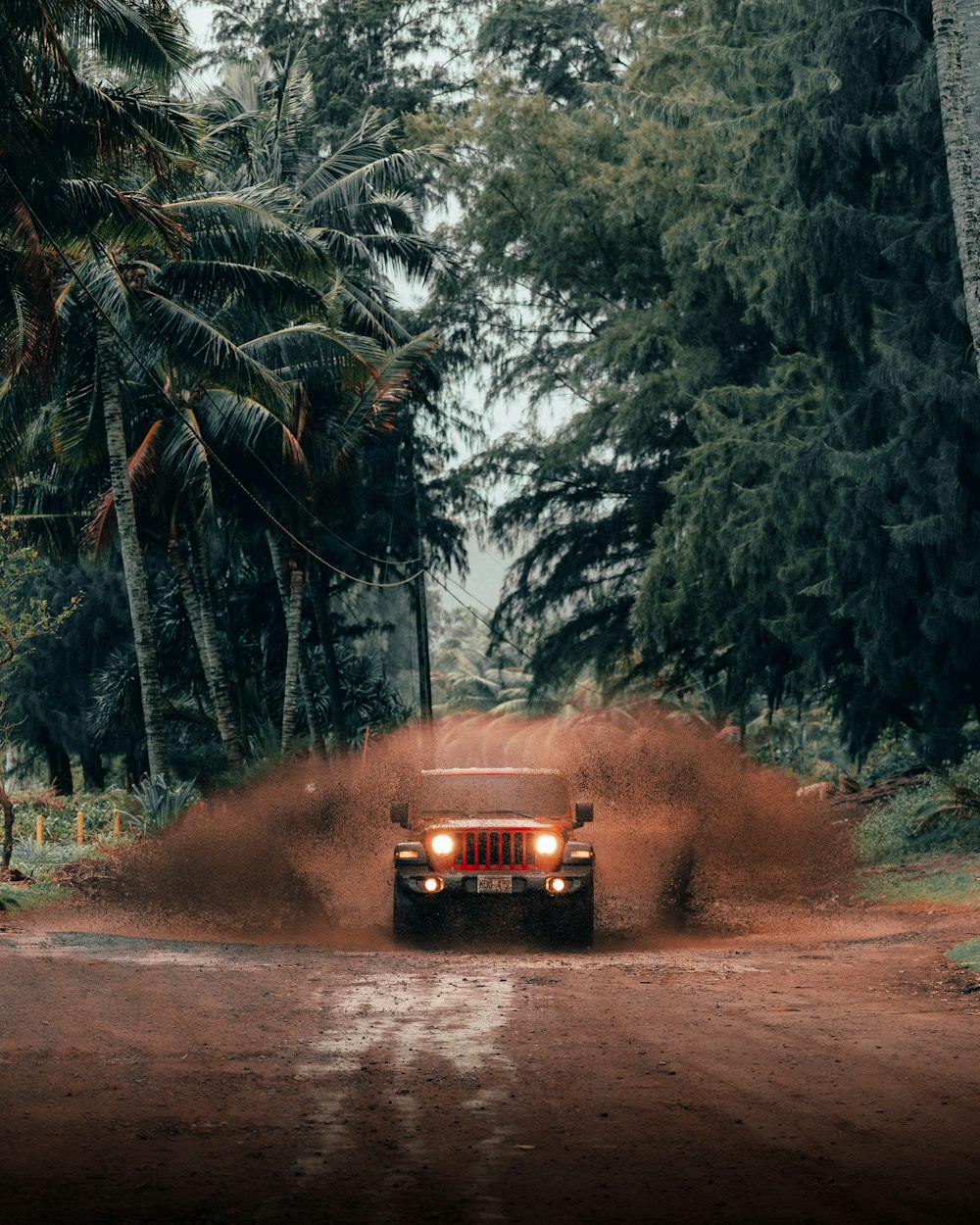 car on road between trees during daytime